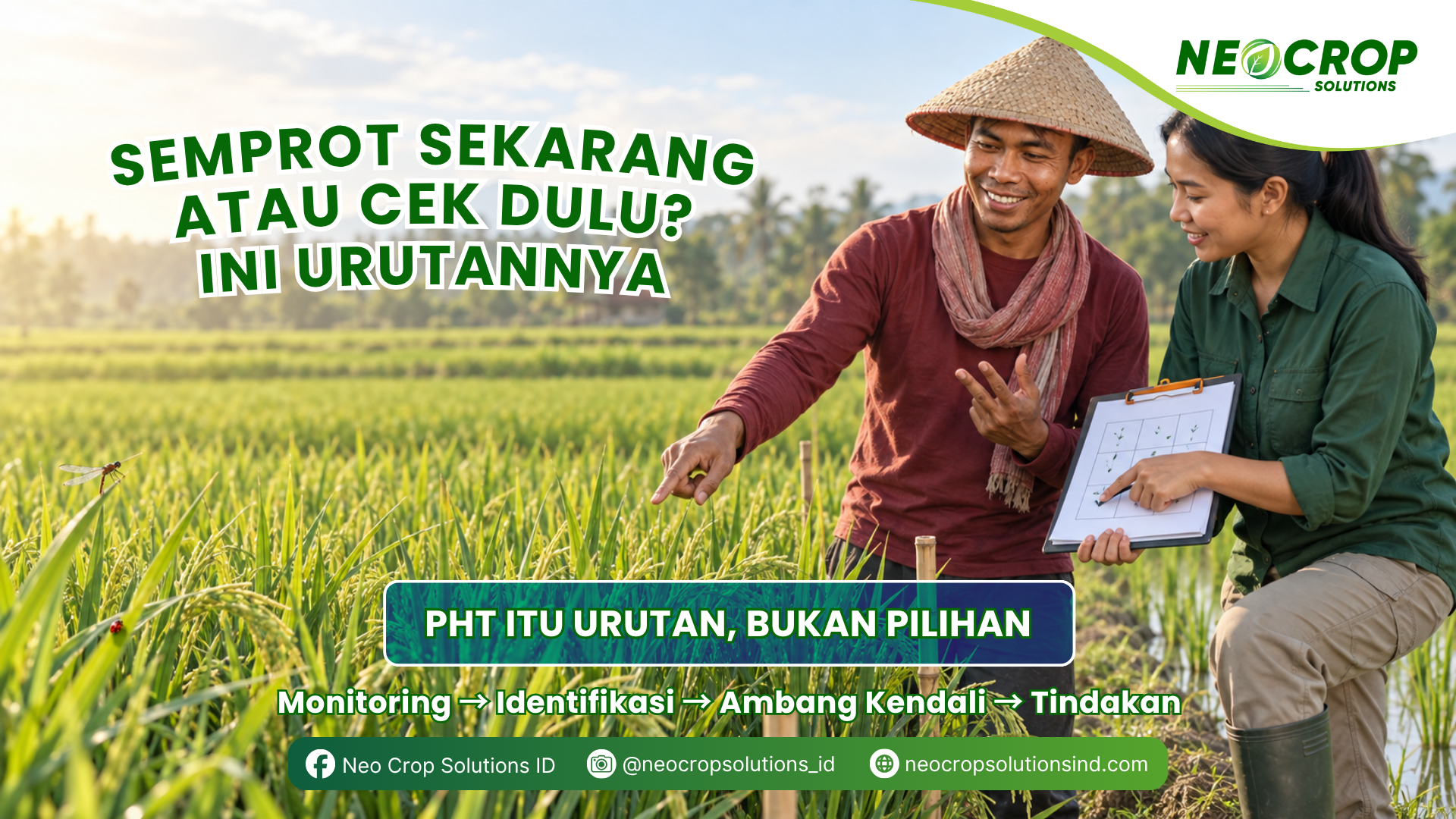Semprot Sekarang atau Cek Dulu? Kenali Urutan PHT