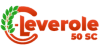 logo_cleverole